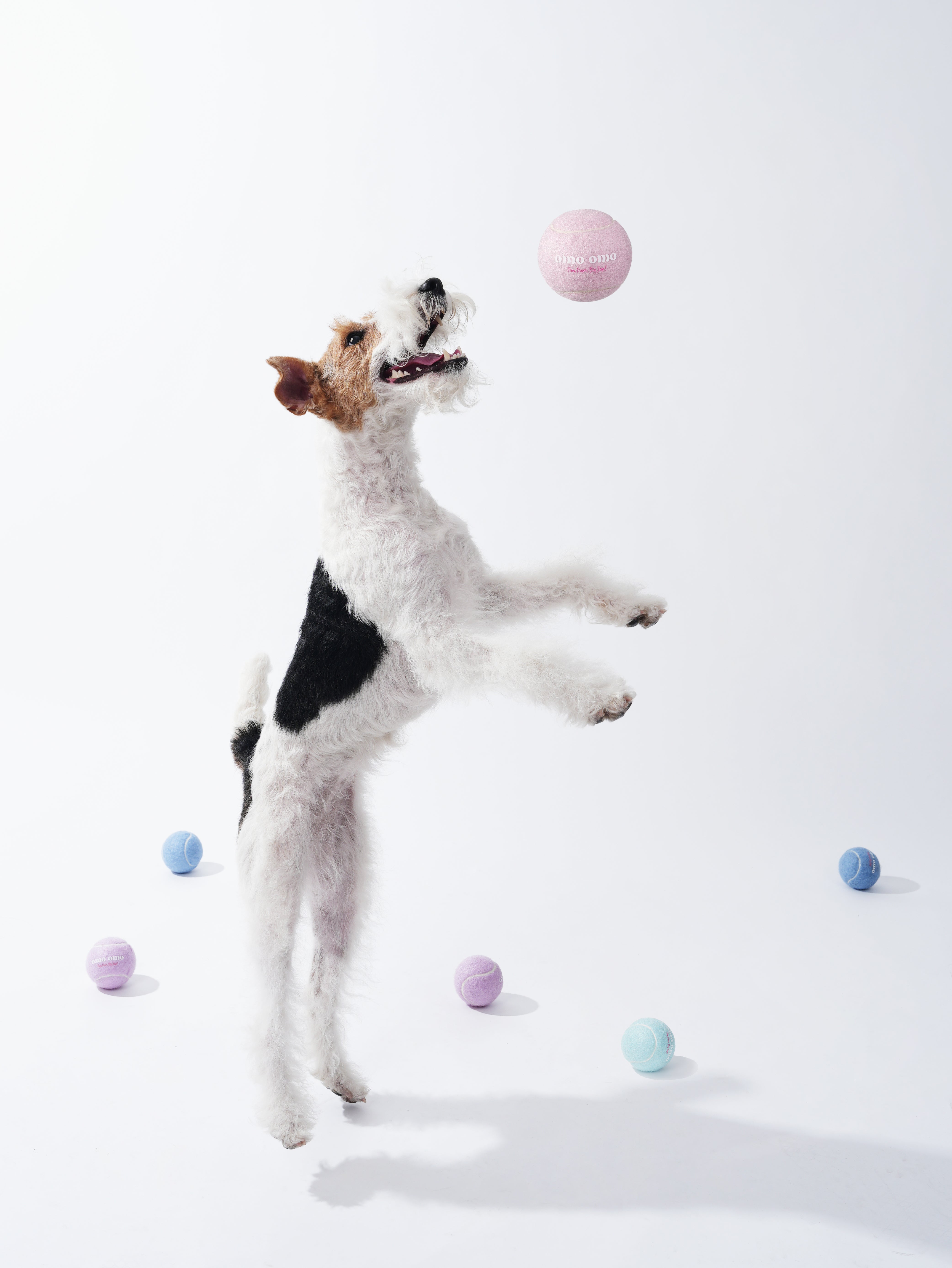 Omo Omo™ Tennis Ball for Dog omo omo