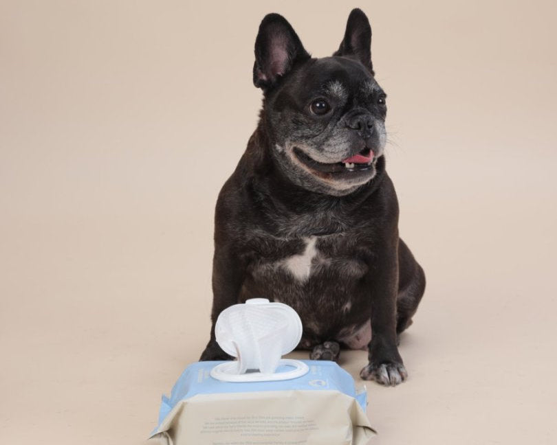 Omo Omo™ Hypoallergenic Grooming Wipes - Sensitive Skin Approved omo omo