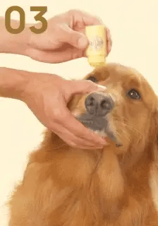 How to use