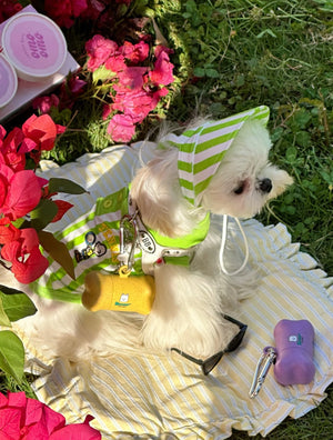 Poop Bag Dispenser for Dogs - Includes 1 Roll (15 Bags) | Omo Omo™ omo omo