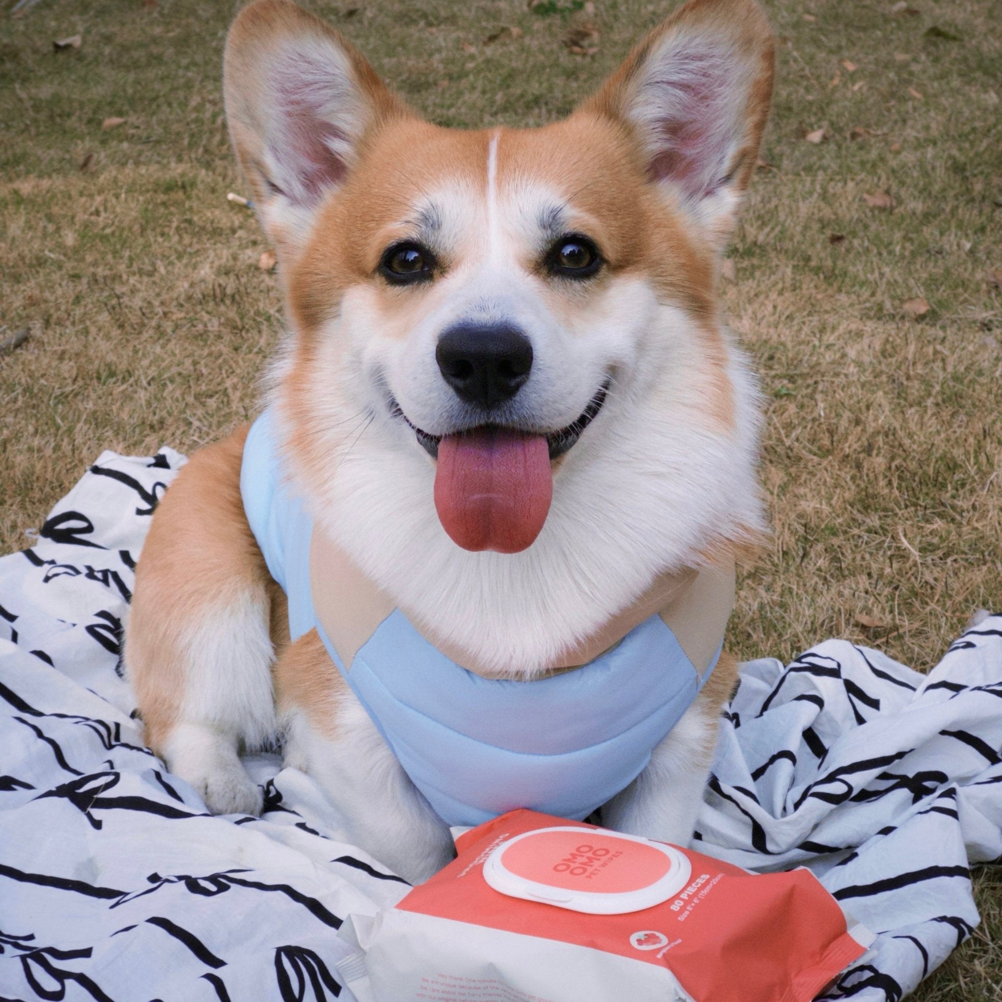 Omo Omo™ Cleaning & Deodorizing Grooming Wipes for Pet - omo omo