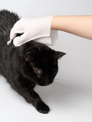 Omo Omo™ Pet Grooming Gloves - omo omo