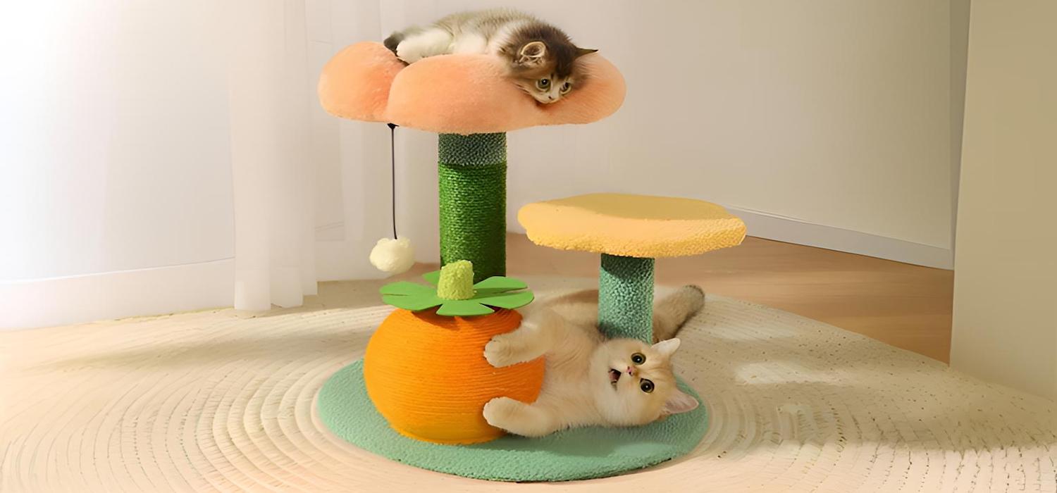 Trees & Furniture: Enhancing Your Feline's Home