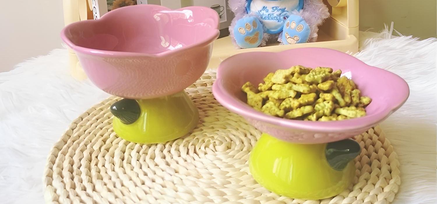 Cat Bowls and Feeders