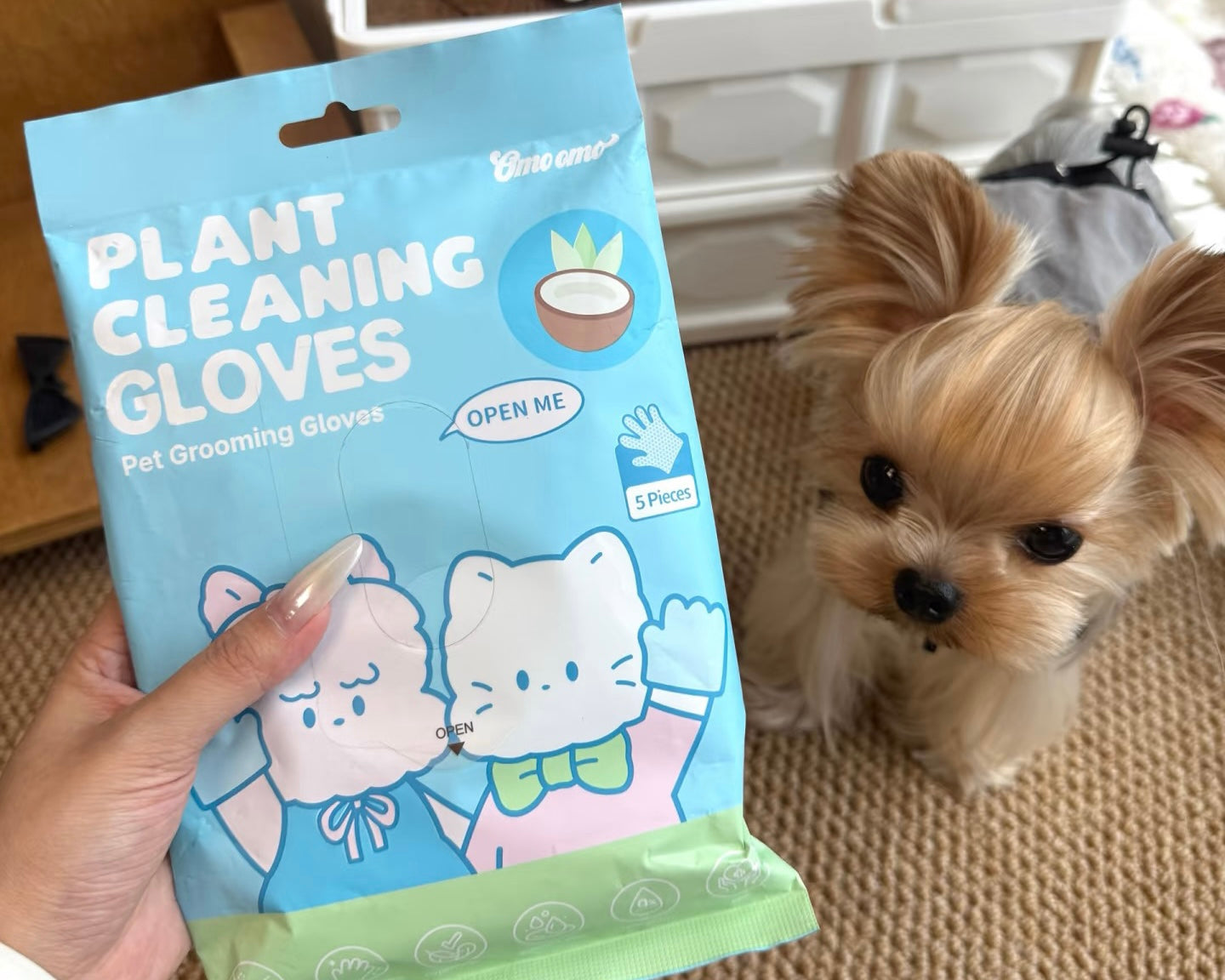 How-Grooming-Can-Prevent-Common-Skin-Issues-for-Pets omo omo