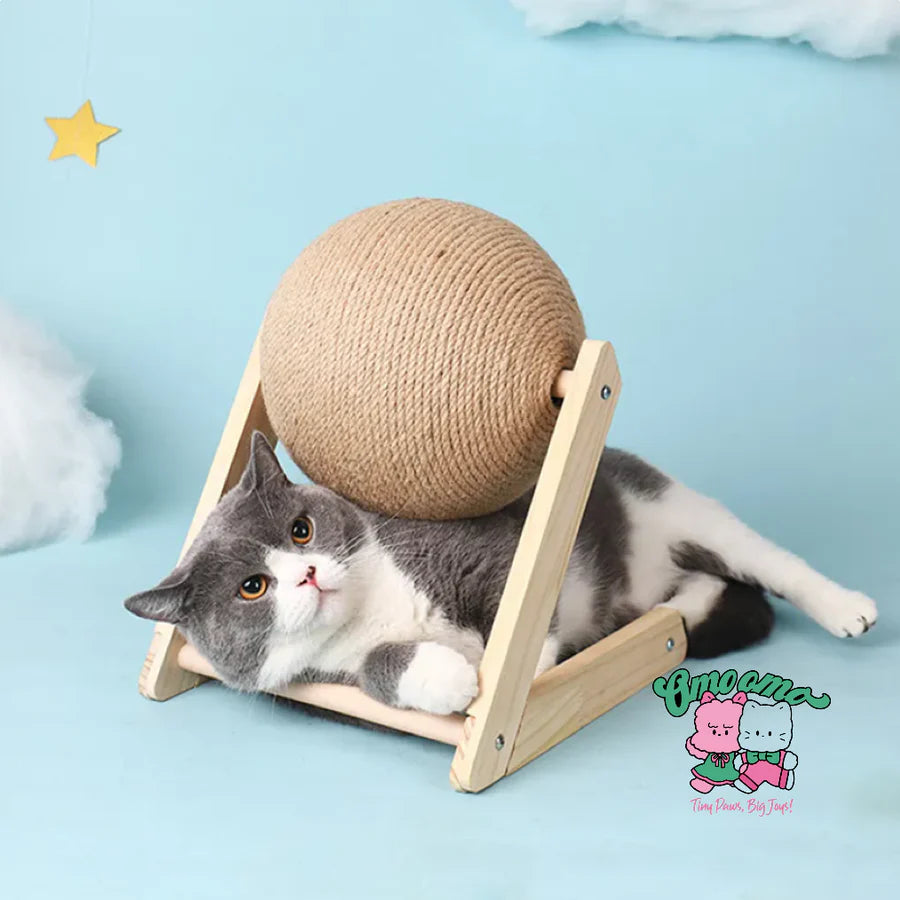 5 Reasons Why Cat Scratching Ball Toys Are Essential for Indoor Cats