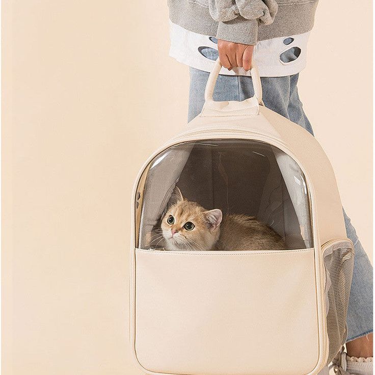 Top Rated Cat Carriers for Traveling