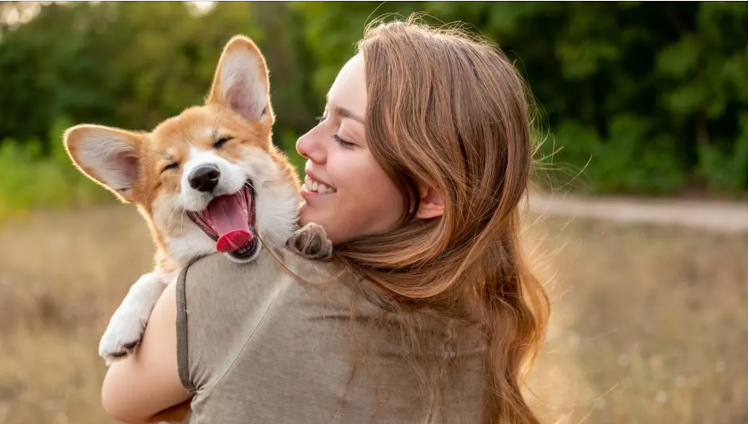 Dog Cool and Comfortable This Summer