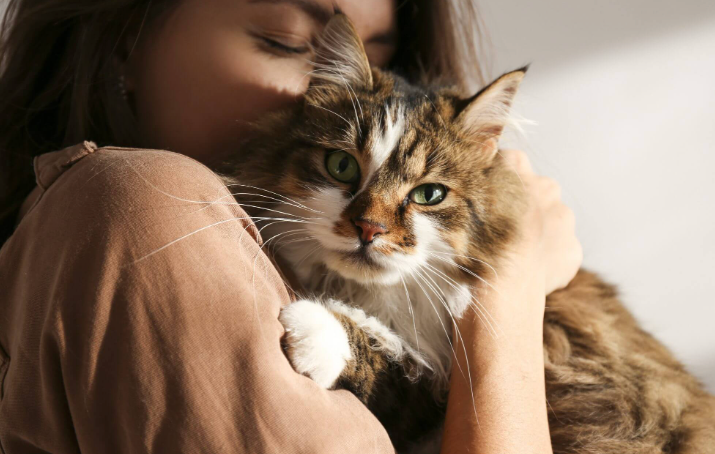 Understanding How Cats Express Love