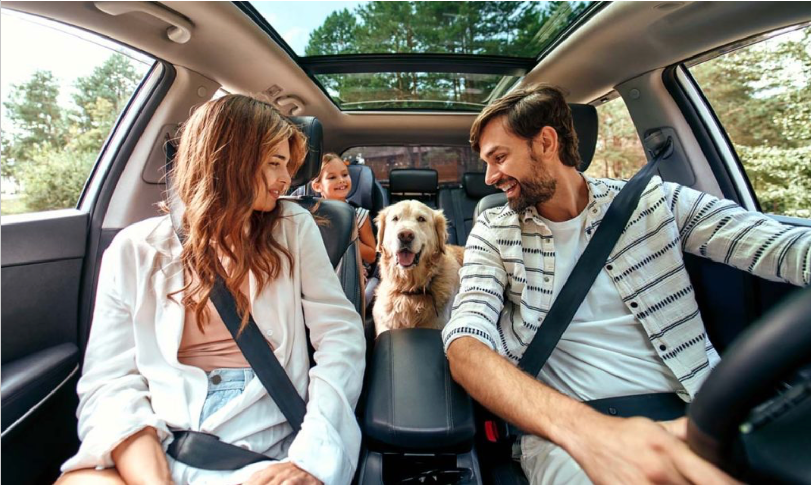 How to Prepare for Travel With Pets