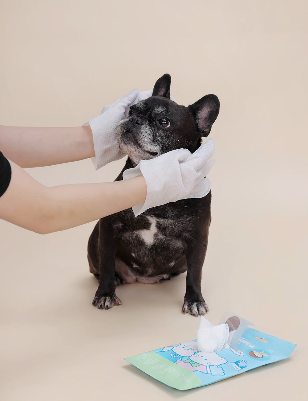 How Grooming Can Prevent Common Skin Issues for Pets