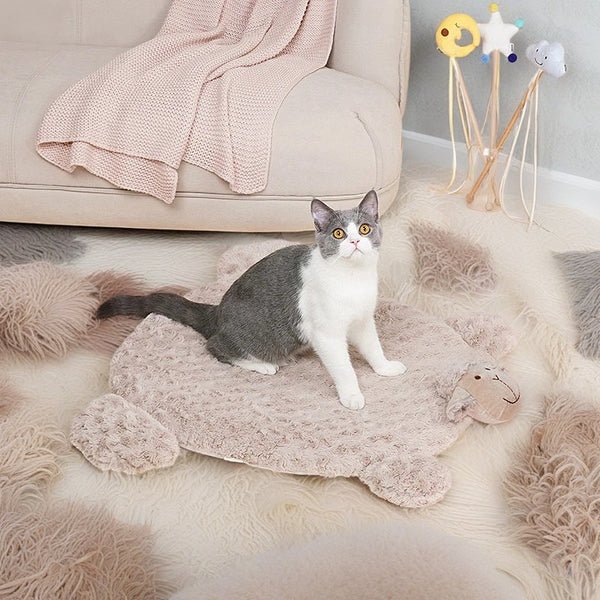How to Choose the Perfect Washable Pet Bed - omo omo