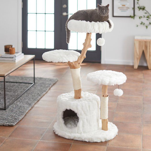 The Ultimate Guide to Building Your Own Cat Tree - omo omo