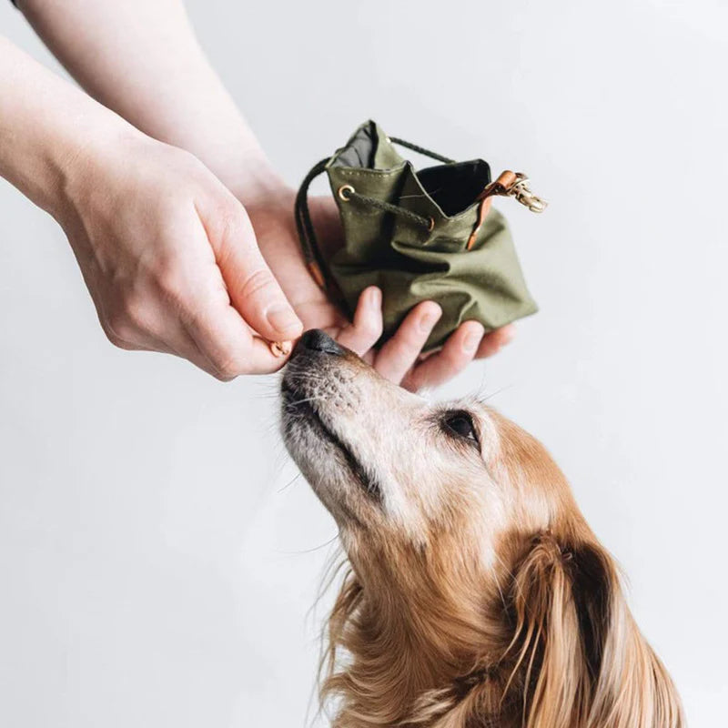 Omo Omo™ Portable Dog Treat Pouch Bag