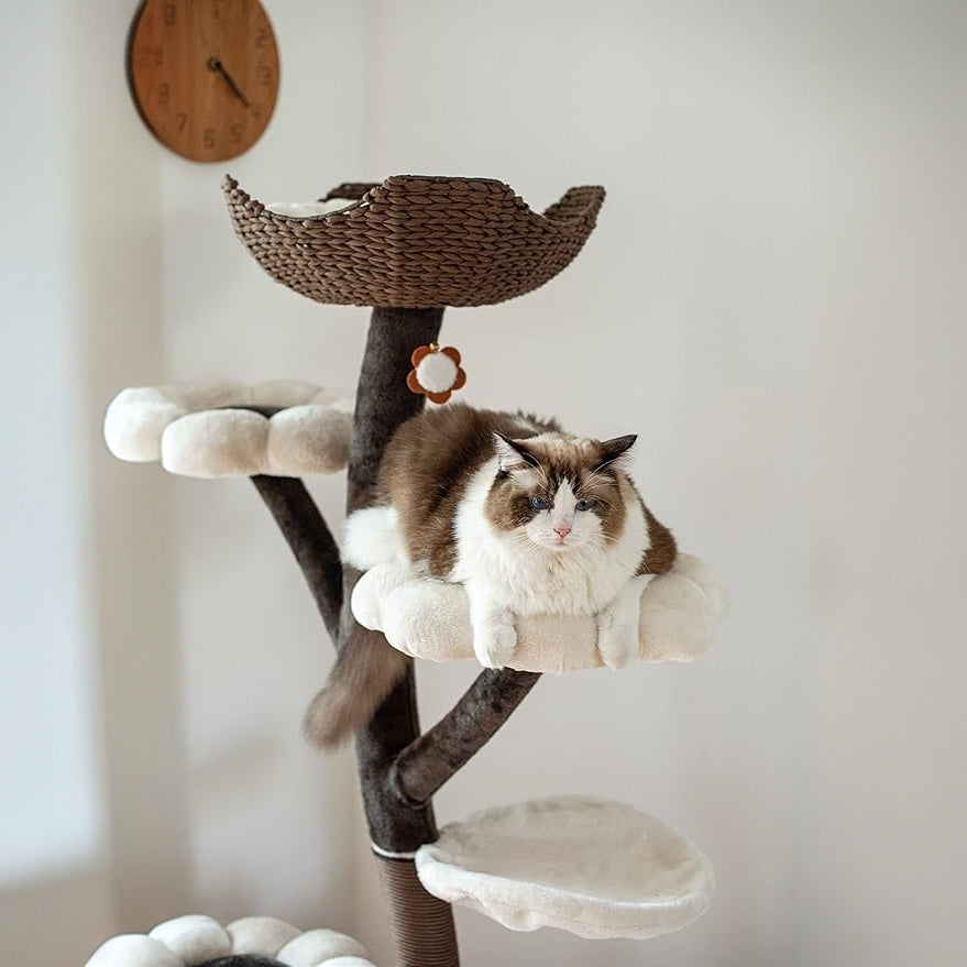 Omo Omo™ Modern Wooden Cat Tree