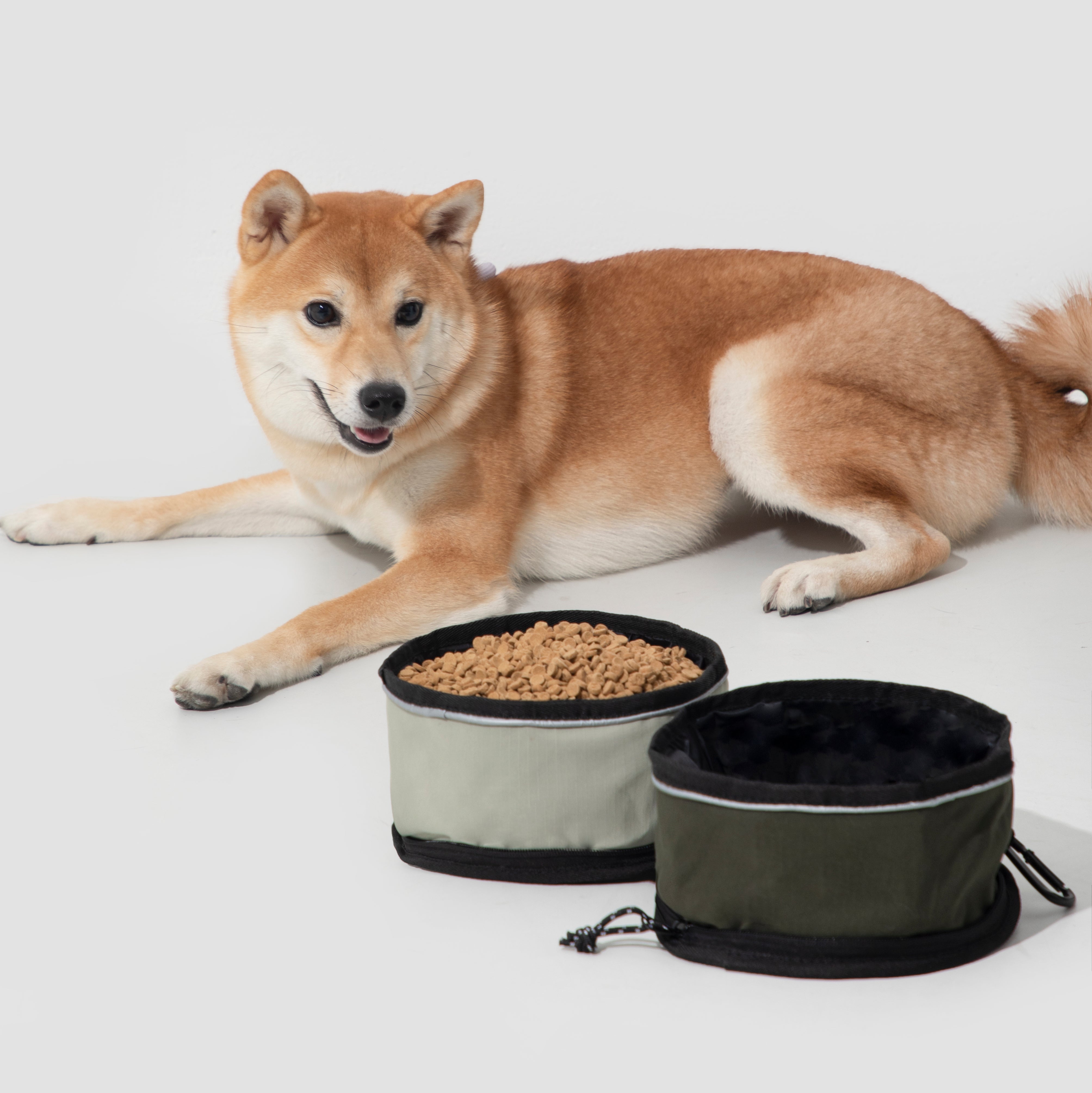 Omo Omo™  Collapsible Dog Bowls for Travel