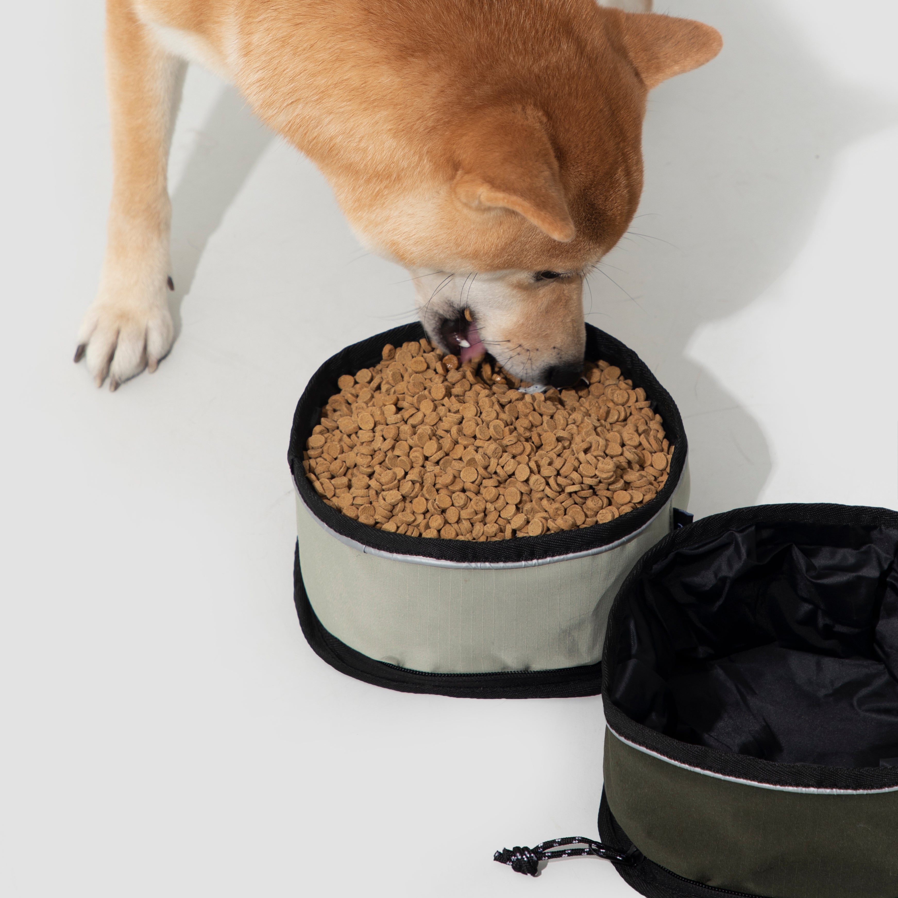 Omo Omo™  Collapsible Dog Bowls for Travel