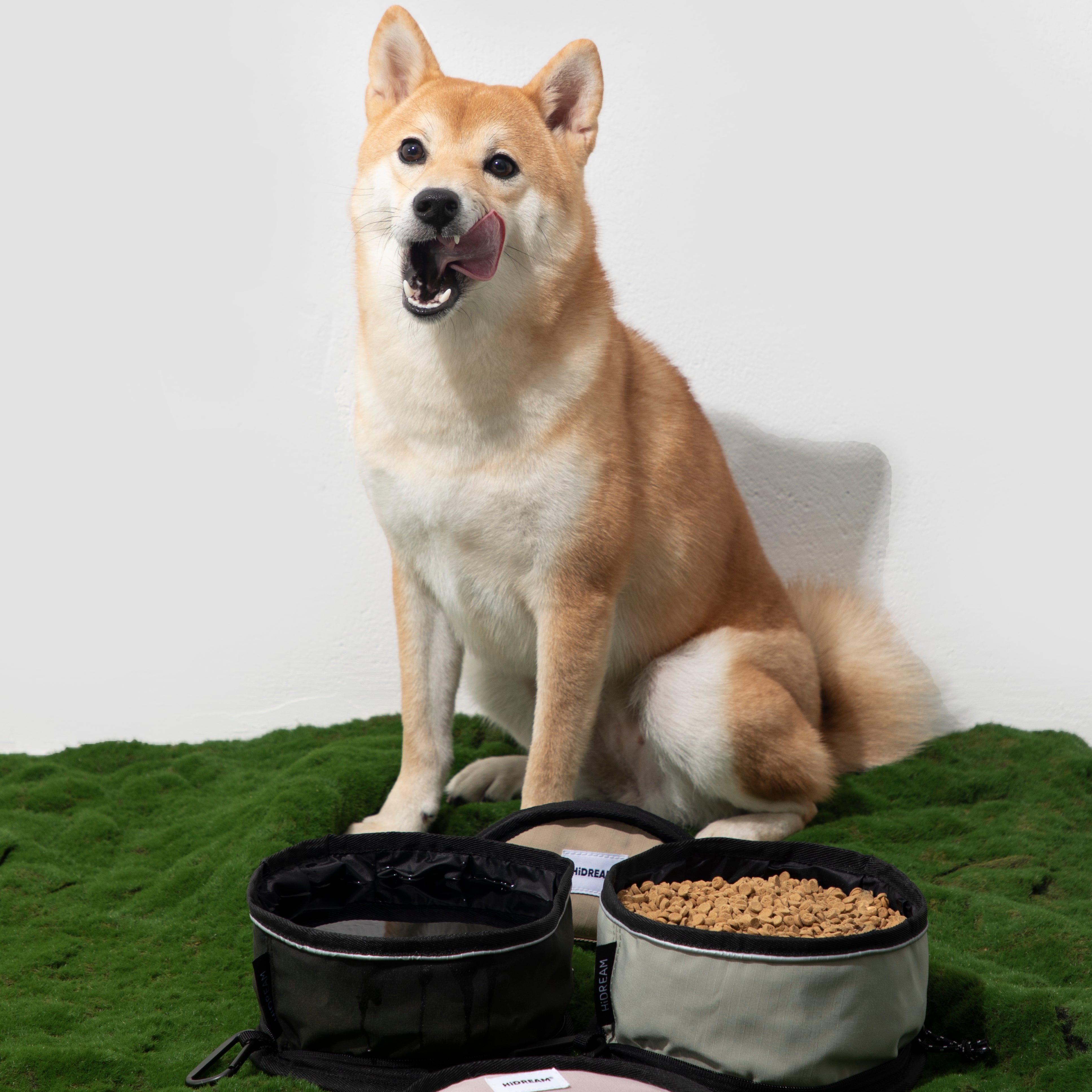 Omo Omo™  Collapsible Dog Bowls for Travel