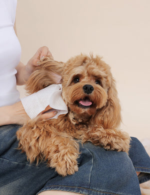 Omo Omo™ Hypoallergenic Grooming Wipes - Sensitive Skin Approved omo omo
