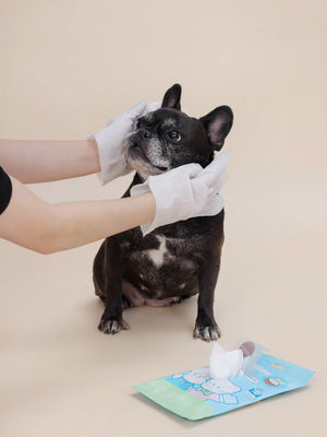 Omo Omo™ Pet Grooming Gloves omo omo