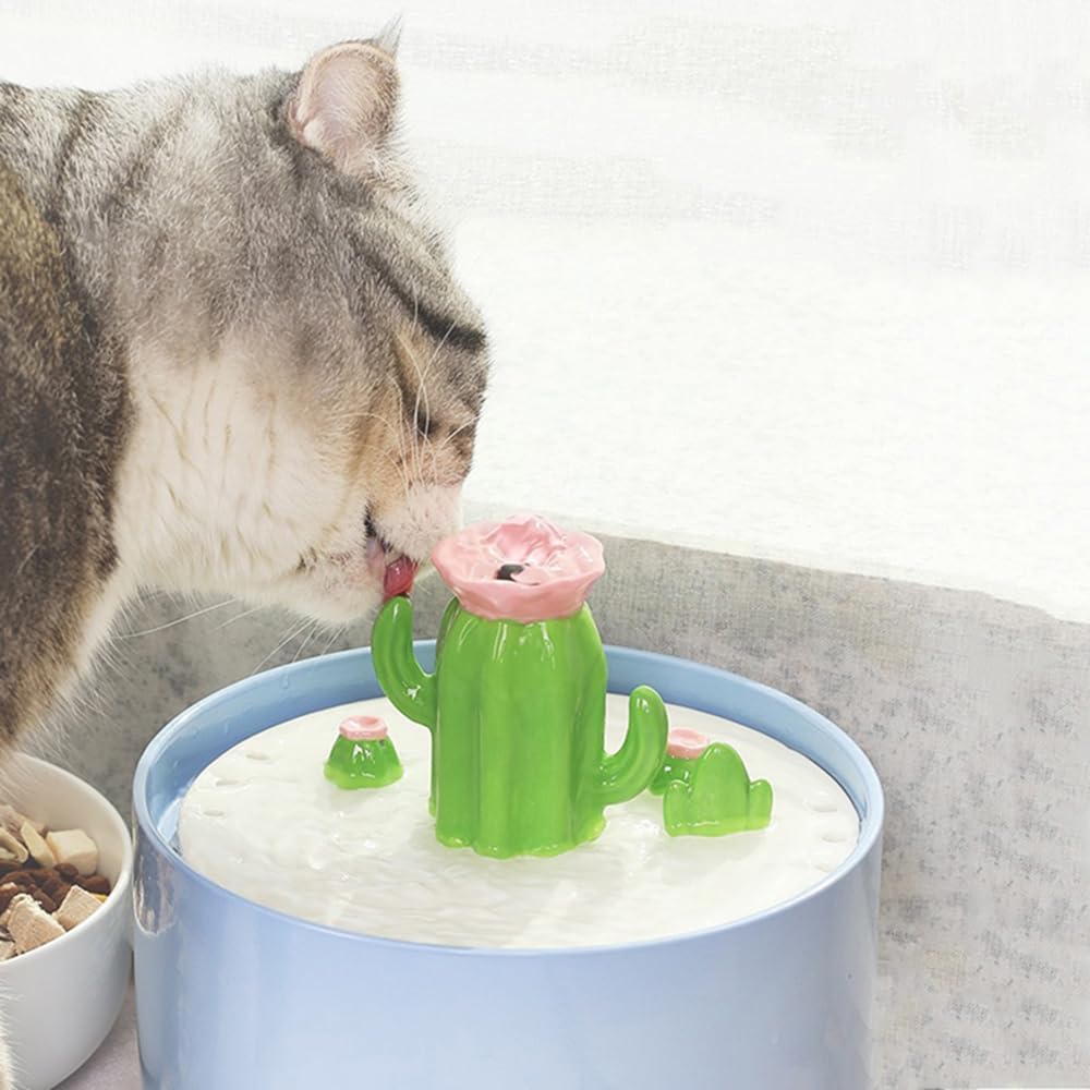 Omo Omo™ Cactus Flower Cat Water Fountain