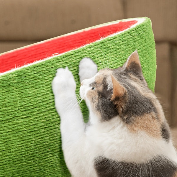 Omo Omo™ Watermelon Cat Scratcher