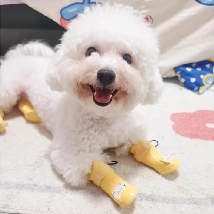 Omo Omo™ Pet Rain Boots