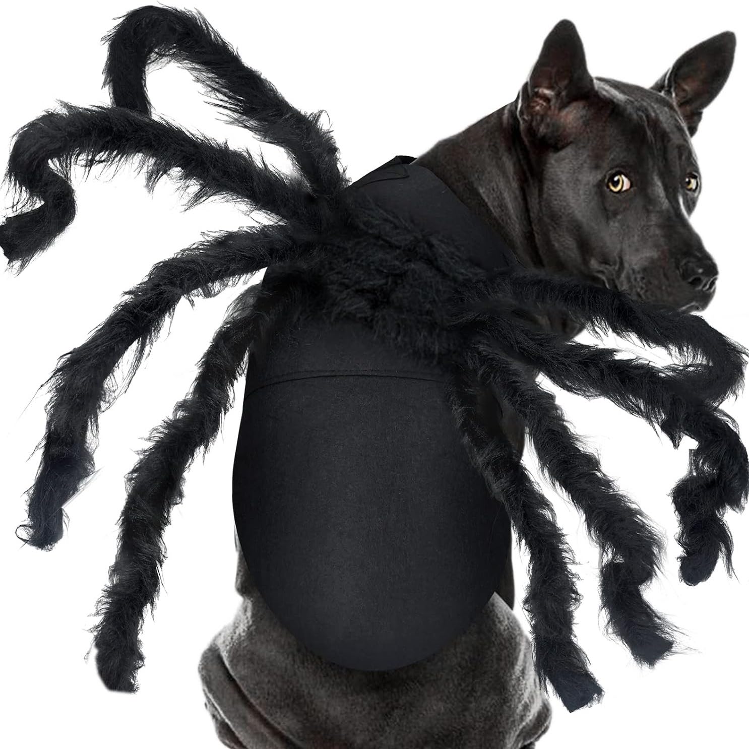 Omo Omo™ Halloween Pet Costume Furry Giant Simulation Spider