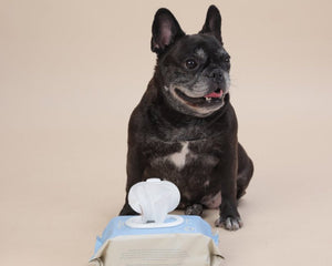 Omo Omo™ Hypoallergenic Grooming Wipes - Sensitive Skin Approved omo omo