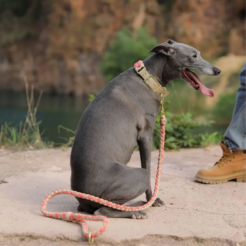 Omo Omo™ Hand-Woven Leather Collar and Leash Set