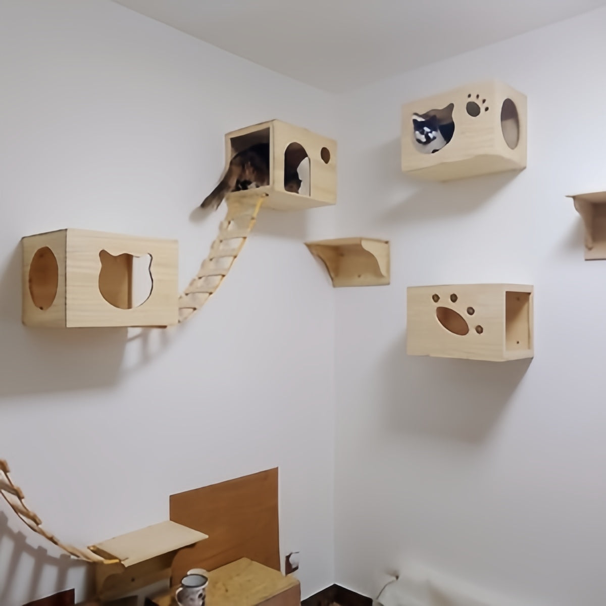 Omo Omo™ Cat Wall Furniture