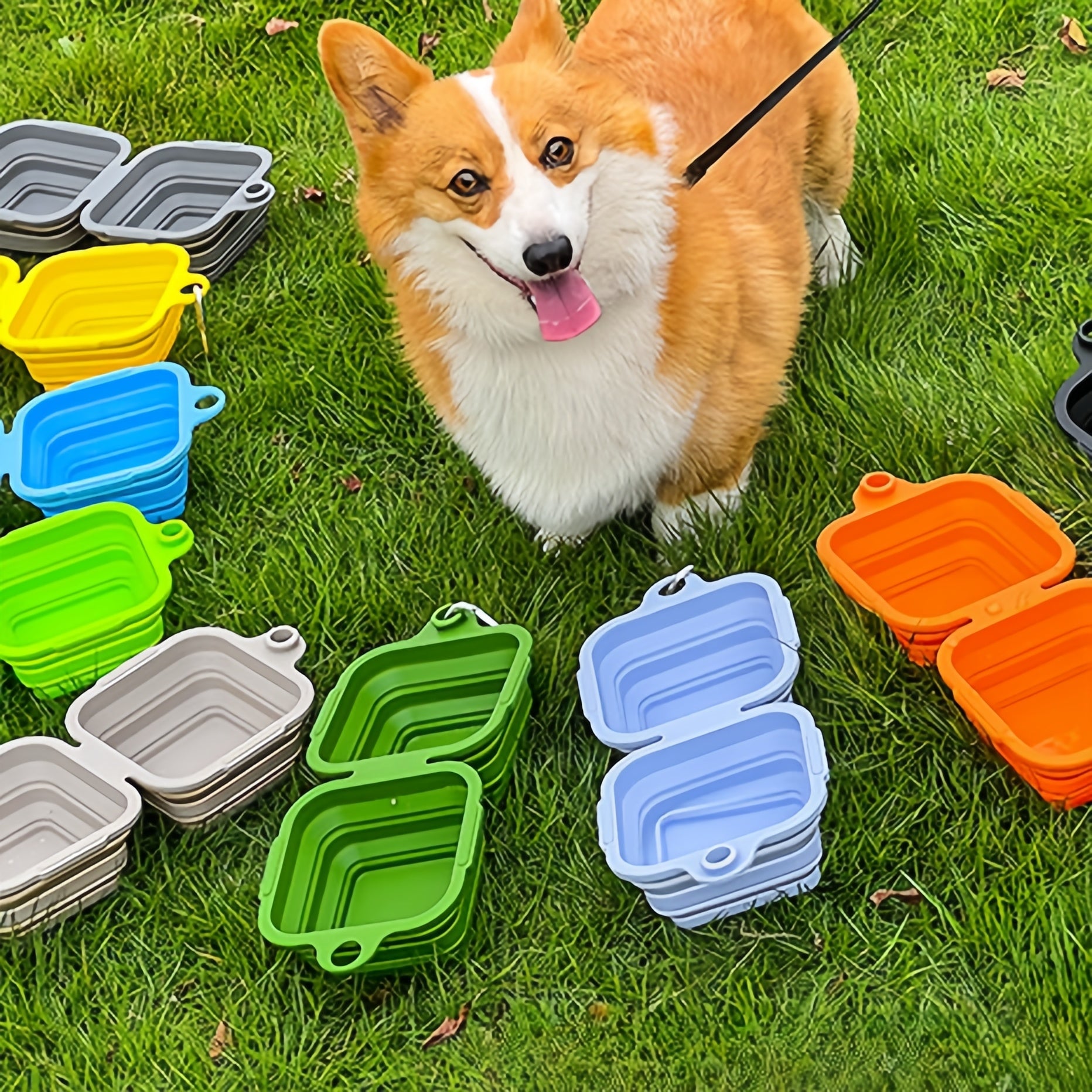 Omo Omo™ Double Collapsible Dog Bowl