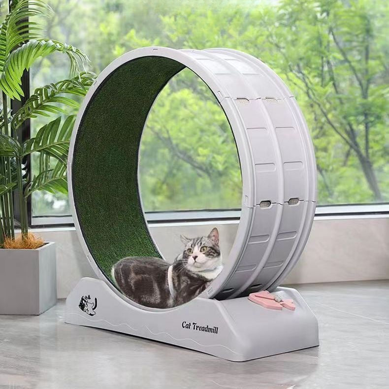 Omo Omo™ Cat Exercise Wheel