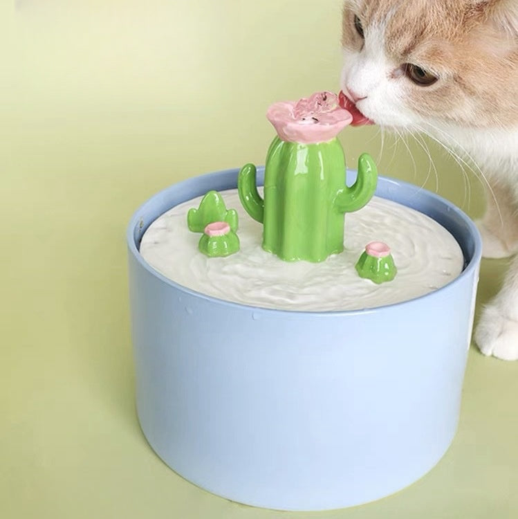 Omo Omo™ Cactus Flower Cat Water Fountain