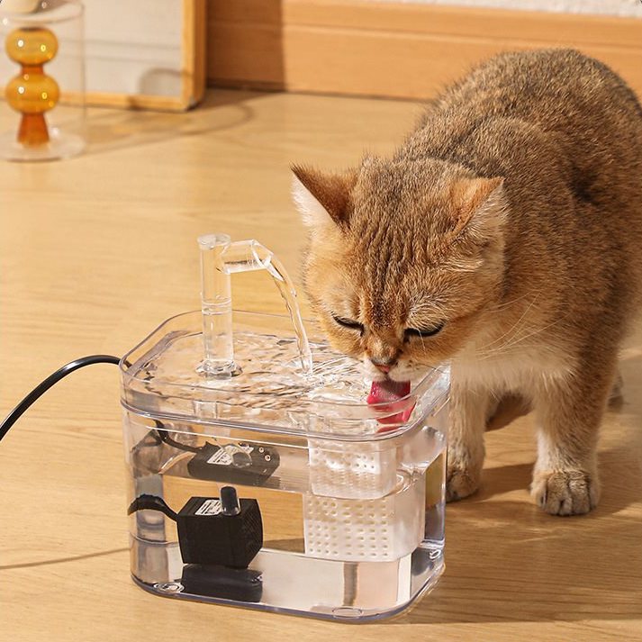 Omo Omo™ Transparent Cat Water Fountain