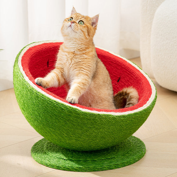 Omo Omo™ Watermelon Cat Scratcher