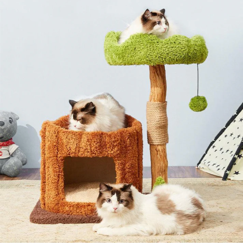 Omo Omo™ Wooden Cat Tree