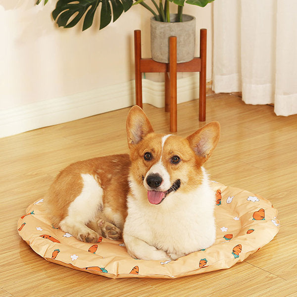 Omo Omo™ Pet Cooling Pad