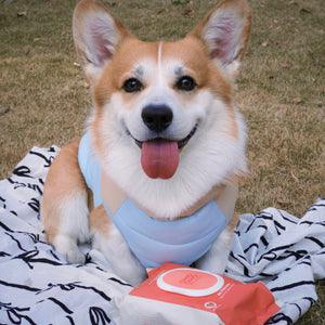 Omo Omo™ Cleaning & Deodorizing Grooming Wipes for Pet - omo omo
