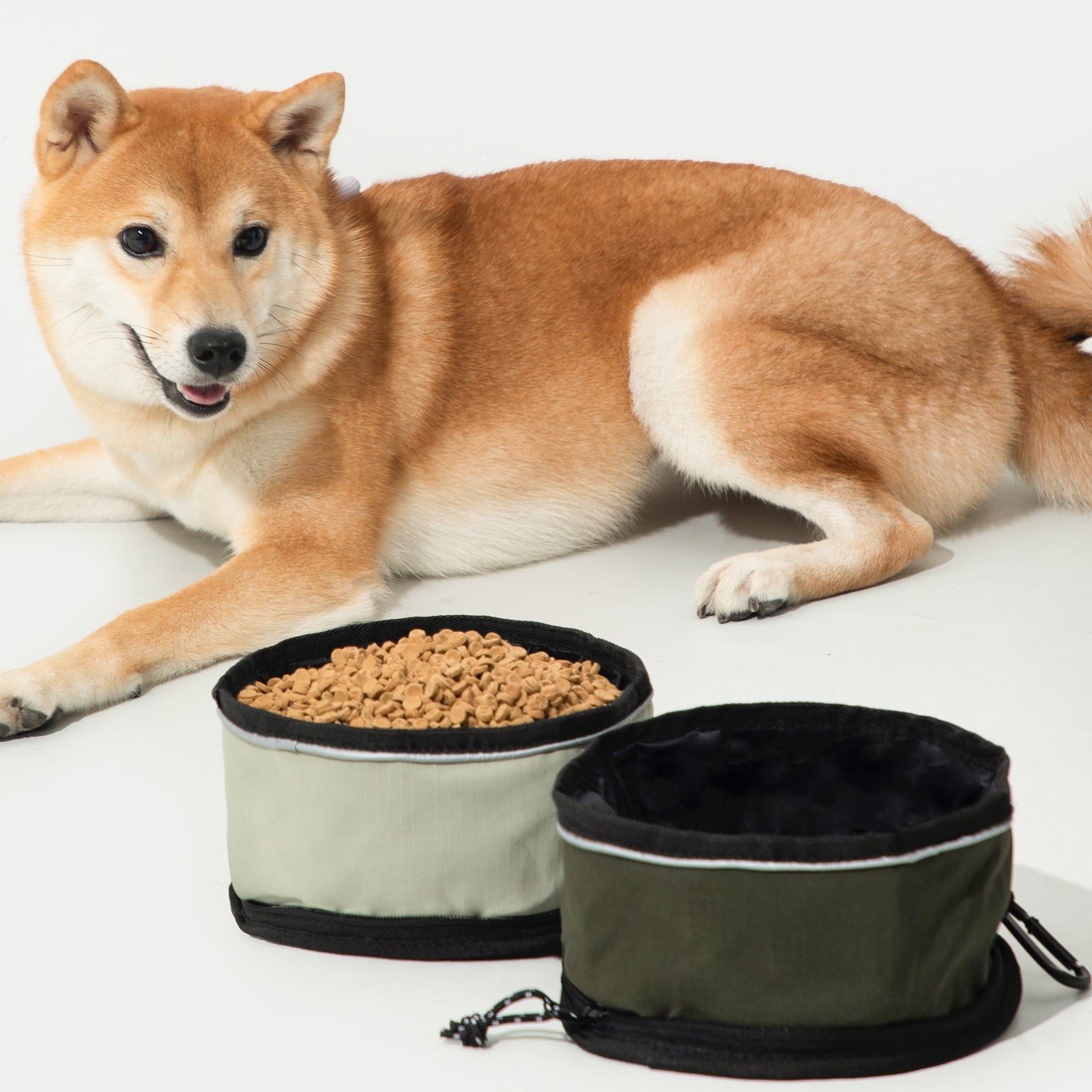 Omo Omo™ Collapsible Dog Bowls for Travel - omo omo