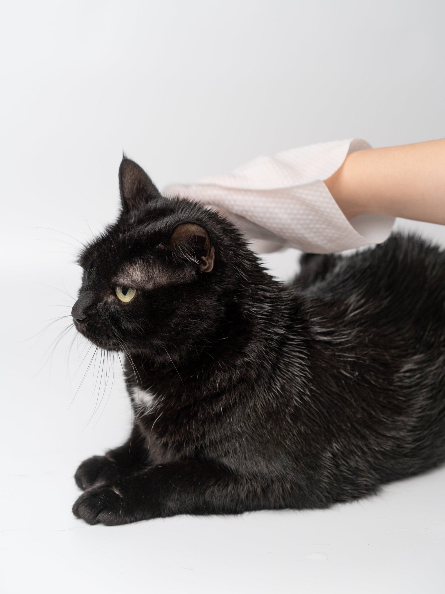 Omo Omo™ Pet Grooming Gloves - omo omo