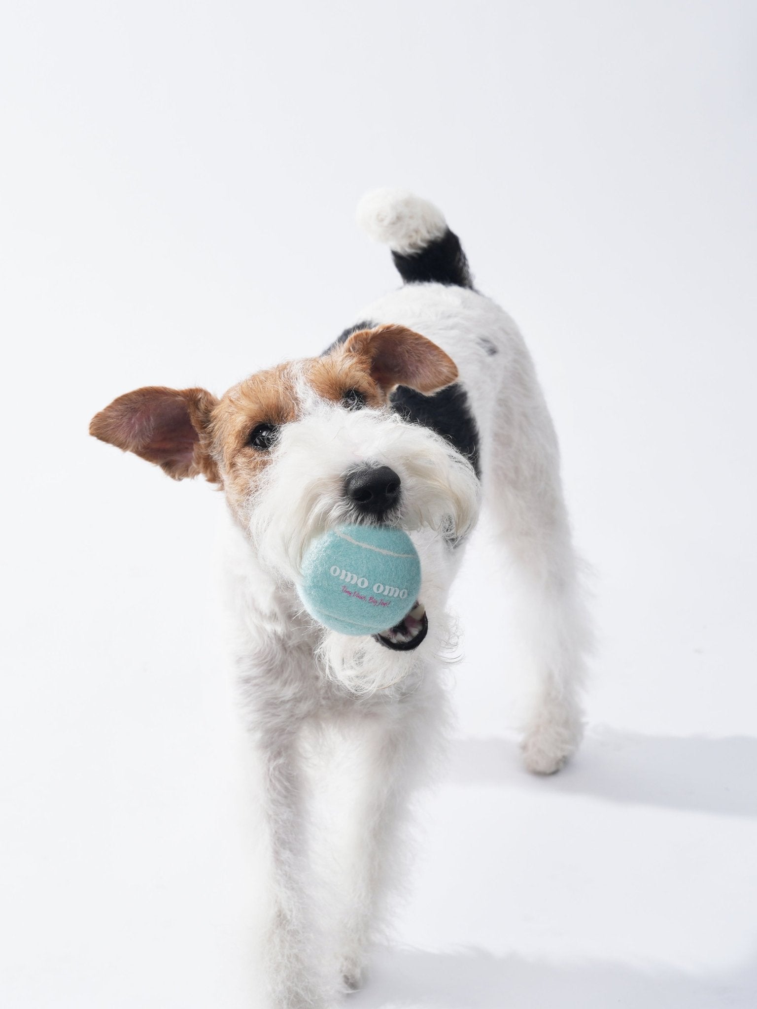 Omo Omo™ Tennis Ball for Dog - omo omo