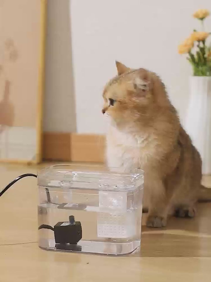 Transparent Cat Water Fountain