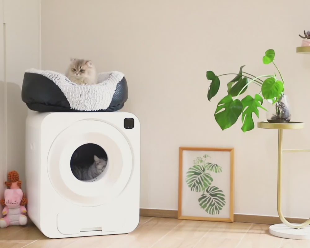 Omo Omo™ Self-Cleaning Cat Litter Box